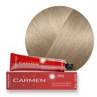 Les Cendrés - Crèmes Colorantes 10*01 - Platine naturel cendré