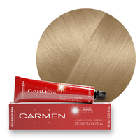 Les Cendrés - Crèmes Colorantes 9*13 - Blond très clair cendré doré